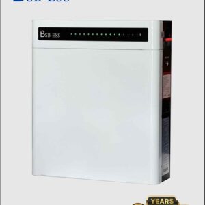Pin lưu trữ Cao Cấp BSB-ESS 51.2V 100ah - Luxury (bản treo tường) 6.000 Cycles.